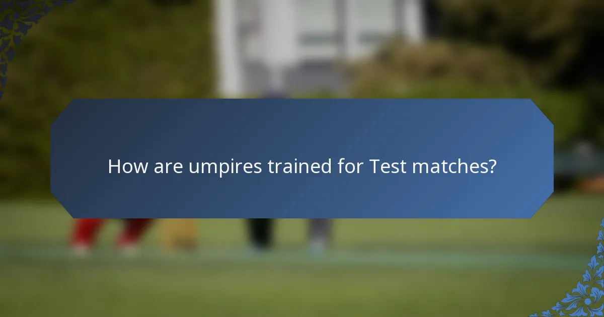 How are umpires trained for Test matches?