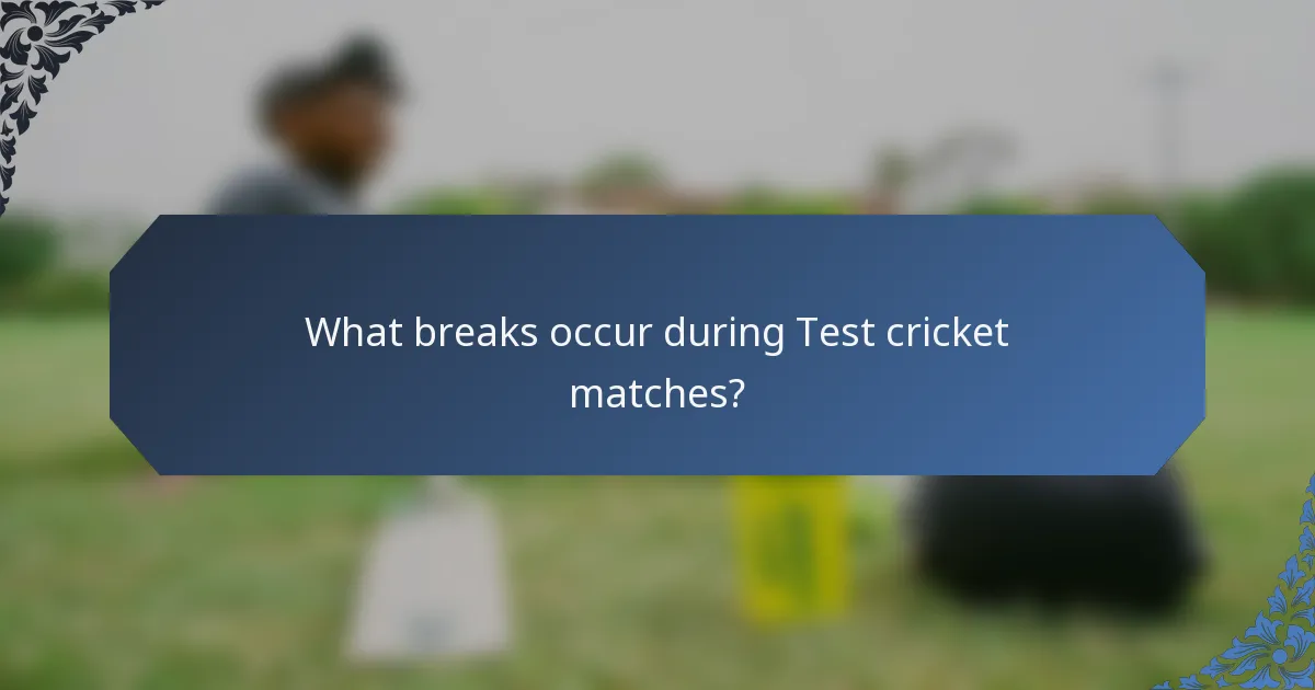 What breaks occur during Test cricket matches?